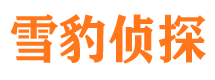 松山市婚姻出轨调查